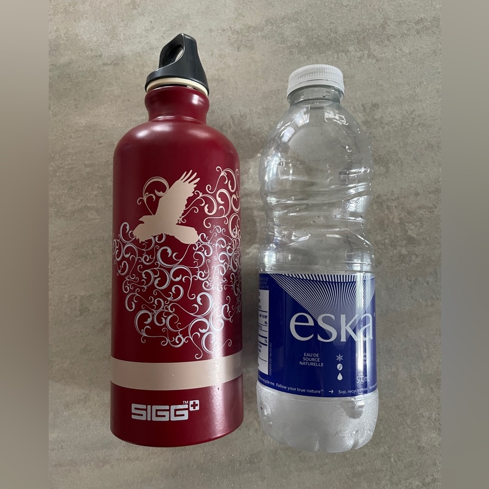 SIGG bird and tree aluminum Swiss water bottle